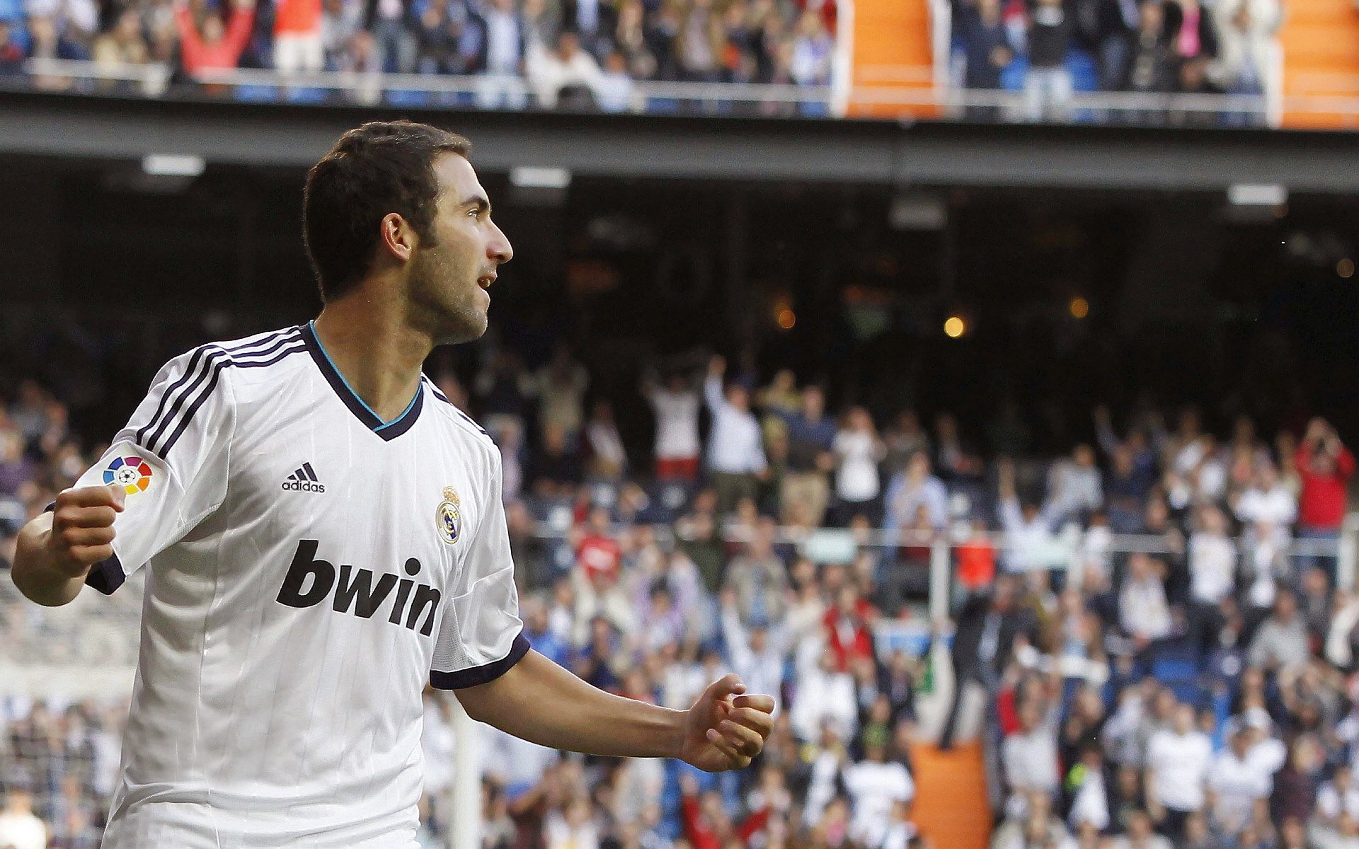 观赛攻略：最佳观景点和赛场全景指南，观赛入口